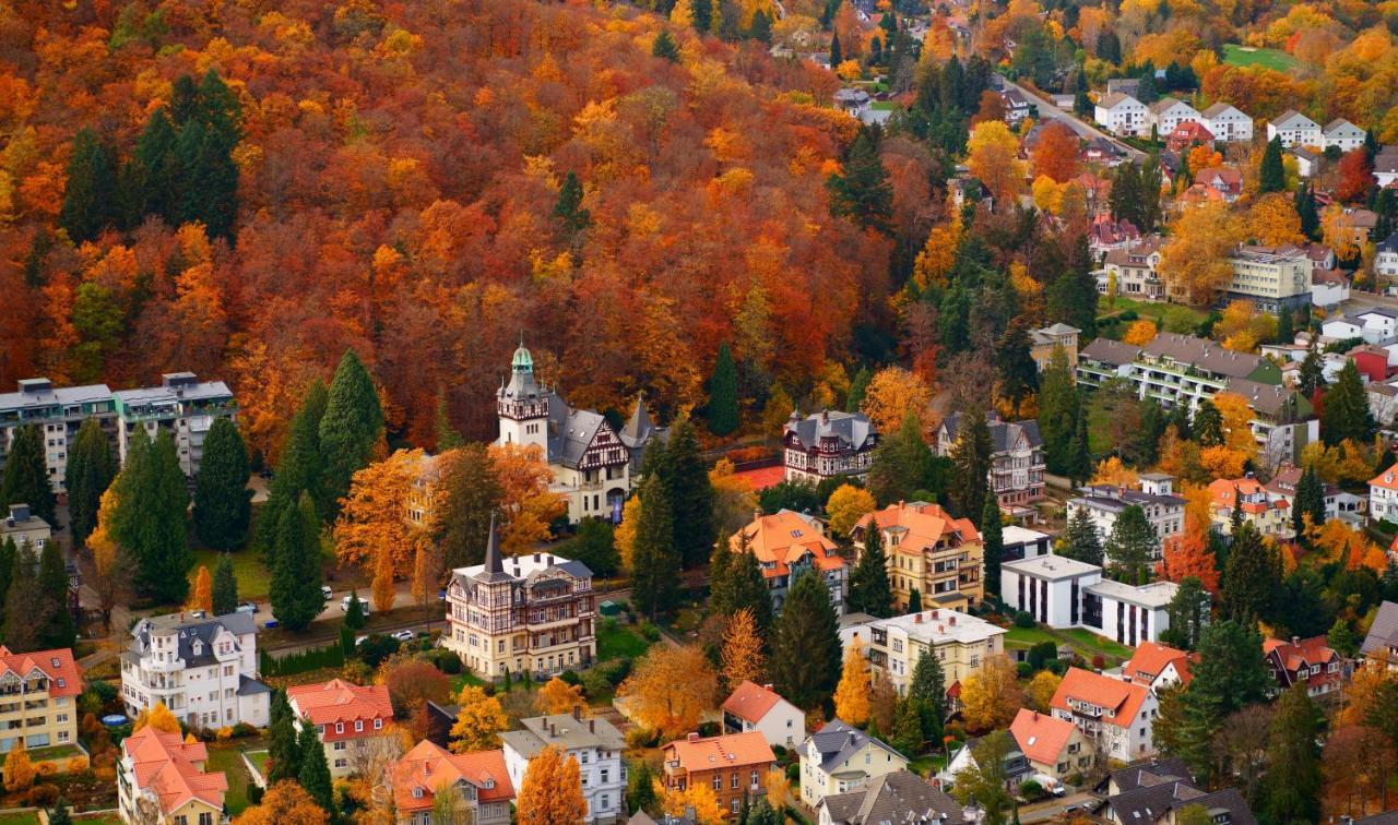 Fewo Harzgipfel Mit Dampfdusche #Innestadtnaehe#Netflix Von Harztraveler Bad Harzburg Εξωτερικό φωτογραφία